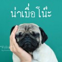 สมาชิกหมายเลข 3130884