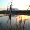 สมาชิกหมายเลข 3599741