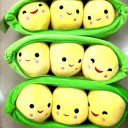 ว่ารักของฉันคือการแอบมอง