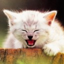 สมาชิกหมายเลข 2712435