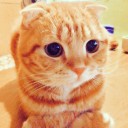 สมาชิกหมายเลข 3069004