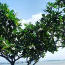 สมาชิกหมายเลข 3130858