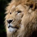 สมาชิกหมายเลข 3602536