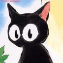 แมวจรจัด