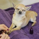 สมาชิกหมายเลข 1082311