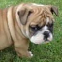 สมาชิกหมายเลข 1082465