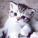 สมาชิกหมายเลข 1490819