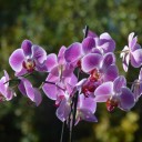 สมาชิกหมายเลข 1709636