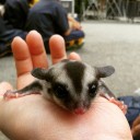 สมาชิกหมายเลข 2709136