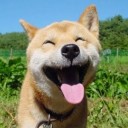 สมาชิกหมายเลข 3131784