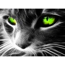 สมาชิกหมายเลข 954618