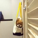 สมาชิกหมายเลข 2260393