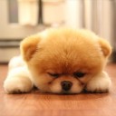 สมาชิกหมายเลข 2713068