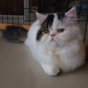 สมาชิกหมายเลข 807989