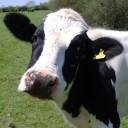 สมาชิกหมายเลข 708615