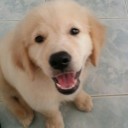 สมาชิกหมายเลข 700722