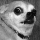 ประเทืองศักดิ์ดักดานคุง