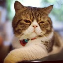 สมาชิกหมายเลข 1475025