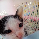 สมาชิกหมายเลข 2320929