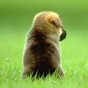 สมาชิกหมายเลข 1083918