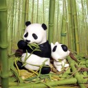 สมาชิกหมายเลข 1493169