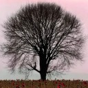 สมาชิกหมายเลข 1924118