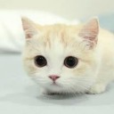 สมาชิกหมายเลข 1635807