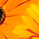 สมาชิกหมายเลข 1739569