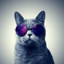 สมาชิกหมายเลข 2664935