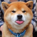 สมาชิกหมายเลข 3061831