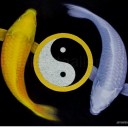 สมาชิกหมายเลข 3605823