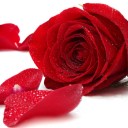 สมาชิกหมายเลข 3606041