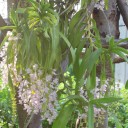 รักแม่ที่สุดในโลก