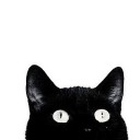 สมาชิกหมายเลข 1383503