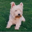 สมาชิกหมายเลข 2281500