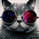 สมาชิกหมายเลข 2321963