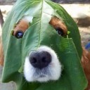 สมาชิกหมายเลข 2667694