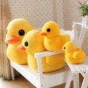 สมาชิกหมายเลข 2705086