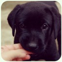 สมาชิกหมายเลข 709263