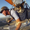 ชีวิต 153 cm.