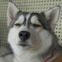 สมาชิกหมายเลข 1838320