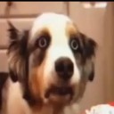 สมาชิกหมายเลข 1174236