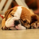 สมาชิกหมายเลข 3607287