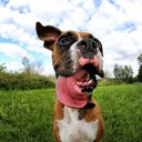 สมาชิกหมายเลข 2895476