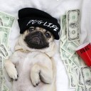 สมาชิกหมายเลข 3134658