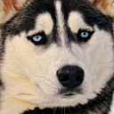 สมาชิกหมายเลข 3135074