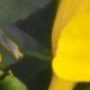 สมาชิกหมายเลข 1527465