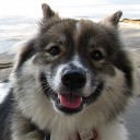 ณ ที่นี่มีดาวเหนือ