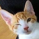 สมาชิกหมายเลข 1323613