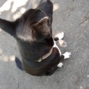 สมาชิกหมายเลข 1494947